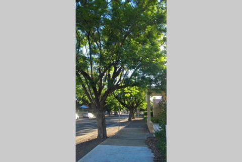 Gawler Heritage Accommodation - South Australia Travel 1