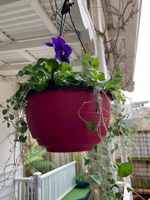 Genesta House - South Australia Travel 2