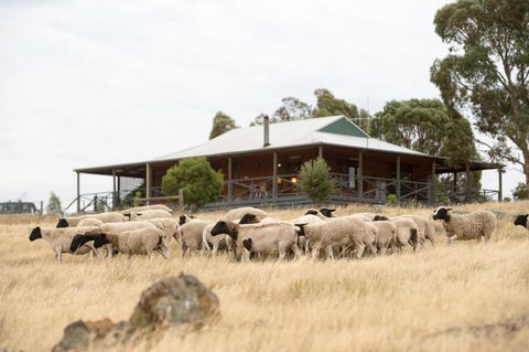 Gilgraves Vineyard Farmstay - South Australia Travel 0