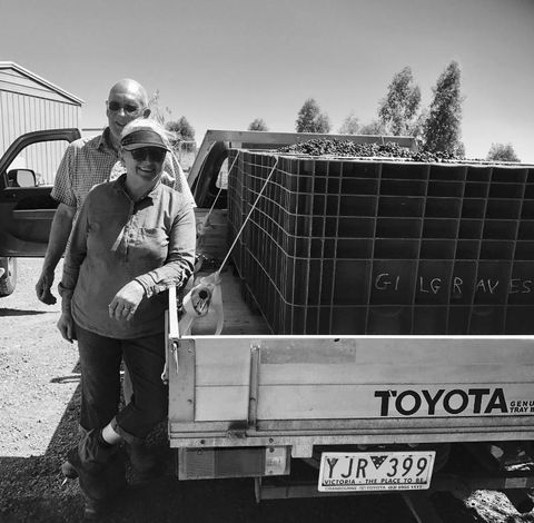Gilgraves Vineyard Farmstay - South Australia Travel 4
