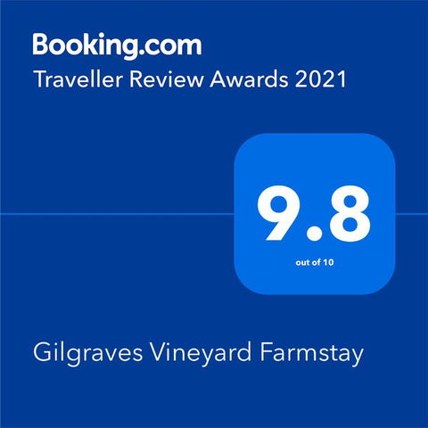 Gilgraves Vineyard Farmstay - South Australia Travel 2