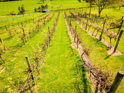 Heritage Holiday House No.15 - South Australia Travel 2