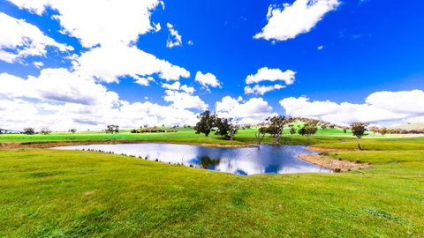 Hillview Farmstay - South Australia Travel 0