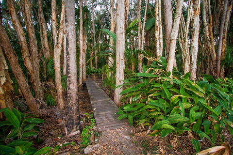 Agnes Palms Accommodation - South Australia Travel 0
