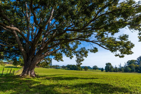 All About Me B & B - South Australia Travel 2