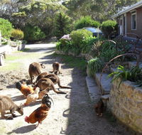 Anchorage Apartments - South Australia Travel