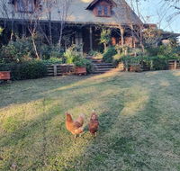 Angaston by the Winter Creek - South Australia Travel