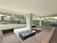 Angophora  The Vintage