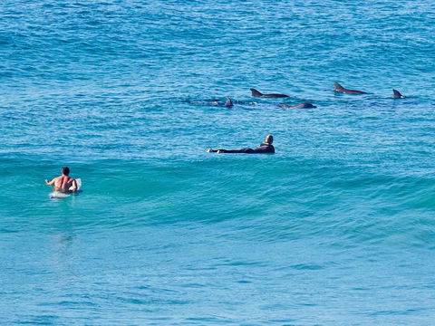 Aquarius Apartment 9 - South Australia Travel 1