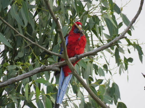 Arnold House - South Australia Travel 2