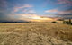 Maluridae Sunset Views By Tiny Away - thumb 2