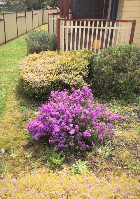 Marsden Court Apartments Now Incorporating Marsden Court And Sharonlee Strahan Villas - South Australia Travel 2