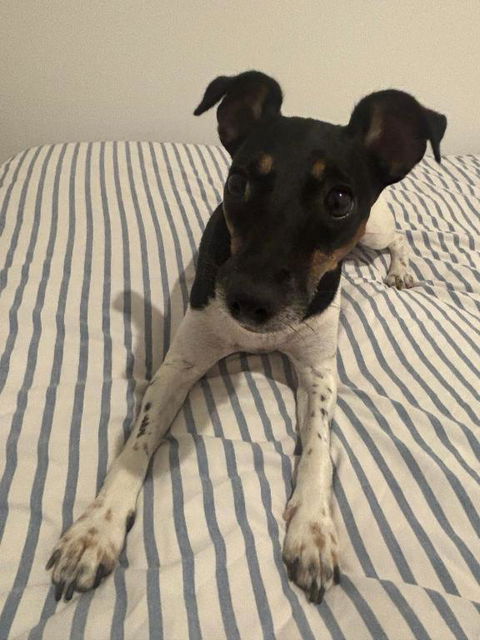 Modern Apartment Near Airport - South Australia Travel 1