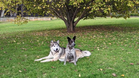 Mountain Culture Farm Stay - Pet Friendly - South Australia Travel 2