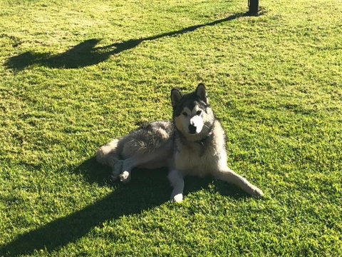 Mountain Culture Farm Stay - Pet Friendly - South Australia Travel 3