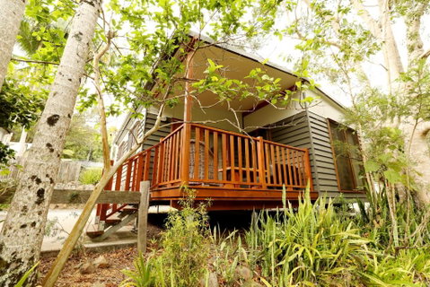 Mt Warning Rainforest Park - South Australia Travel 1