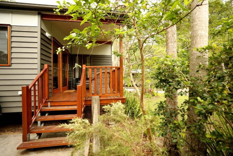 Mt Warning Rainforest Park - South Australia Travel 0