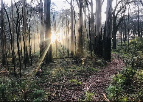 Northfield Boutique Apartments - South Australia Travel 2