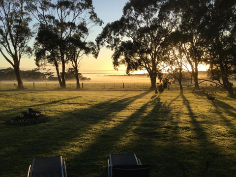 Olivi - South Australia Travel 0