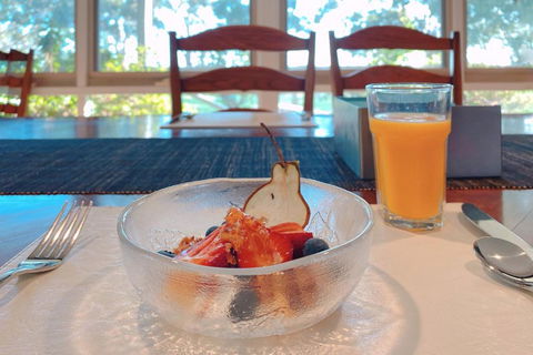 Olivi - South Australia Travel 3