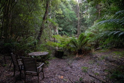 Parkwood Cottage - South Australia Travel 1