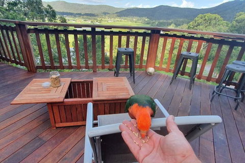 Paterson Skywalk - South Australia Travel 3