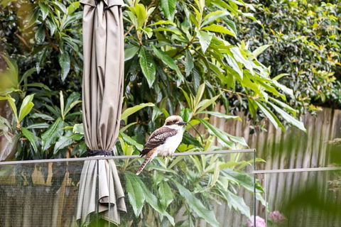 Quaint Queen Room - Central Location At Pymble - Shared Bathroom - South Australia Travel 1