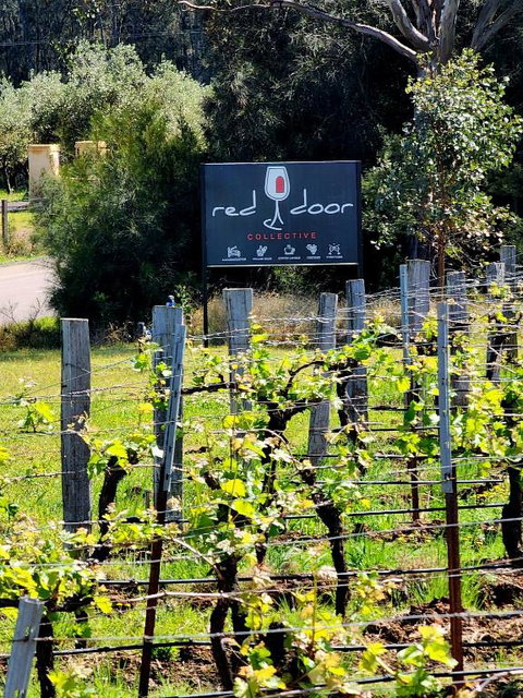 Red Door Collective - RDC Vineyard Estate, Luxury Adult Only Stay - South Australia Travel 1