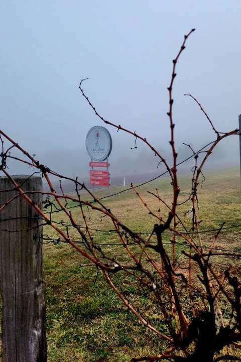 Red Door Collective - RDC Vineyard Estate, Luxury Adult Only Stay - South Australia Travel 3