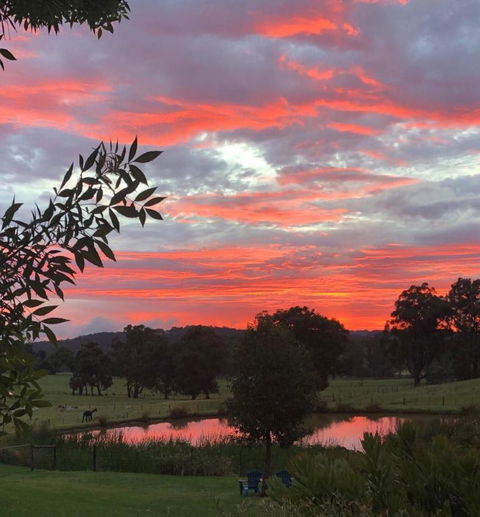 Raynella Alpaca Farmstay - South Australia Travel 2
