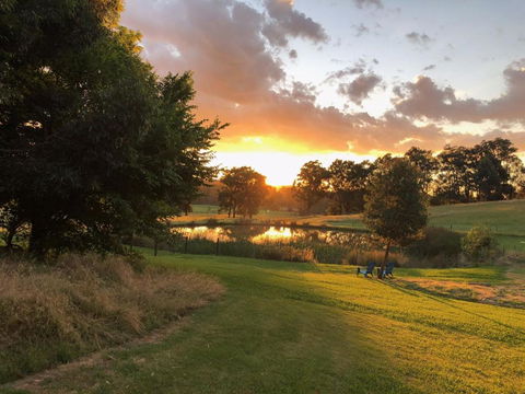 Raynella Alpaca Farmstay - South Australia Travel 1