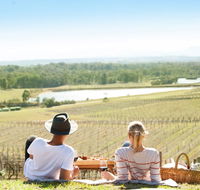 Audrey Wilkinson Vineyard - South Australia Travel