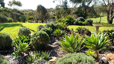 Austiny Bed And Breakfast Victor Harbor - South Australia Travel 2