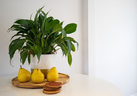 Azure Beach Retreat - Spa Luxury - South Australia Travel 2