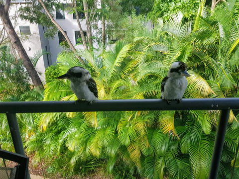 Baden 45 - Rainbow Shores, Beachside Unit, Aircon, Swimming Pool, Tennis Court - South Australia Travel 3