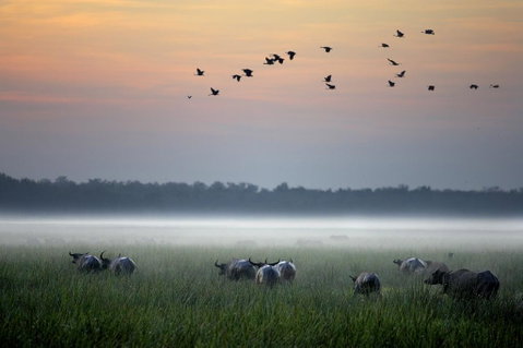 Bamurru Plains - South Australia Travel 0