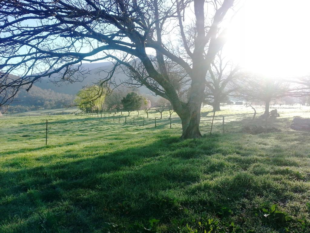 Dederang VIC South Australia Travel