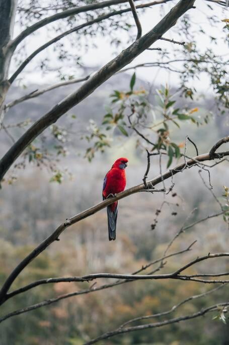 Riverside Cabin 18 Thredbo - South Australia Travel 1