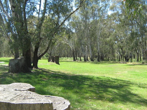 Rivergum Holiday Park - South Australia Travel 2