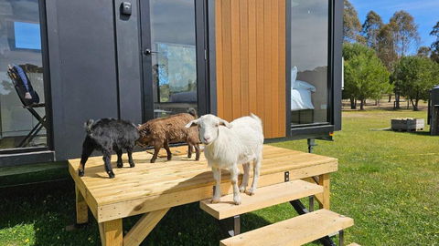 Roccos Retreat By Tiny Away - South Australia Travel 2