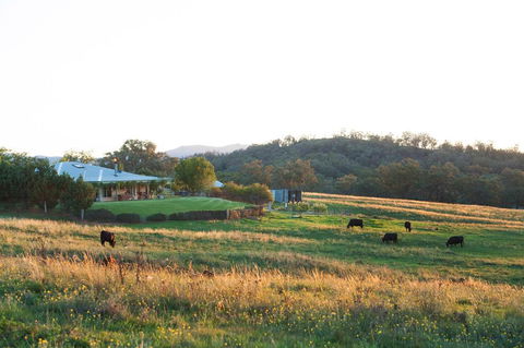 Rosby Guesthouse And Studio - South Australia Travel 0