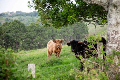 Rosewood Tiny Home By Tiny Away - South Australia Travel 2