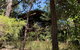 Rustic Spirit - thumb 1