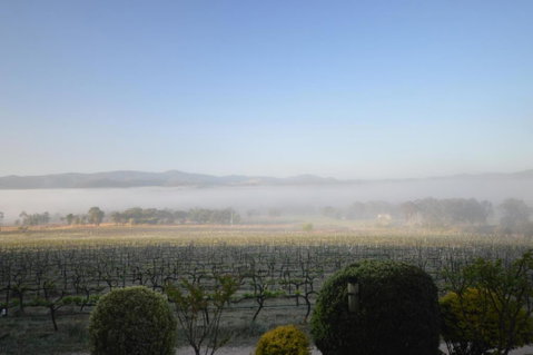 Sancerre Estate - South Australia Travel 3