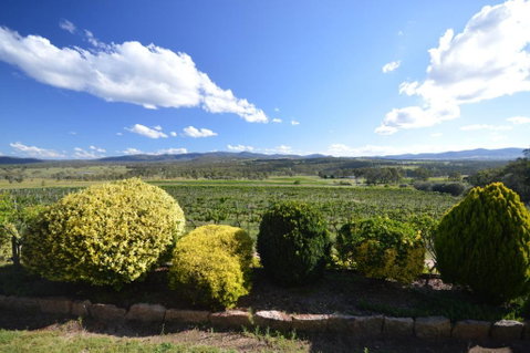 Sancerre Estate - South Australia Travel 1