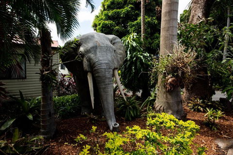 Sarina Palms Caravan And Cabins Village - South Australia Travel 3