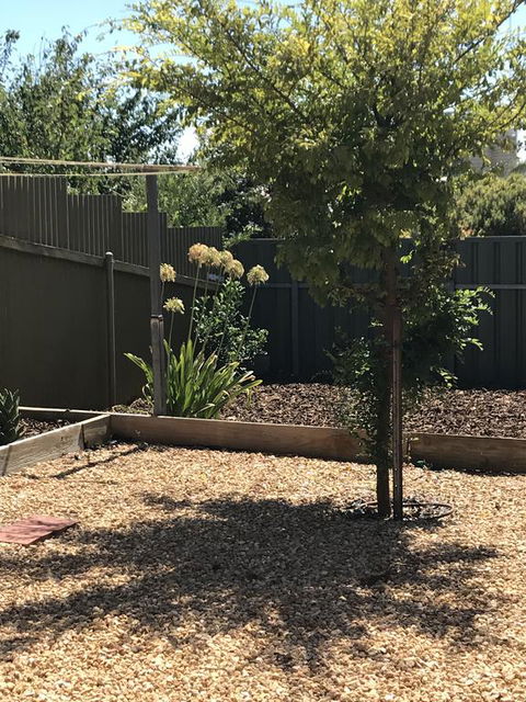 Beatty Cottage - South Australia Travel 2