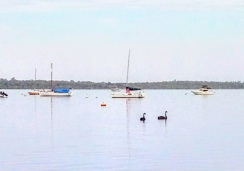 Beautiful, Peaceful Estuary Views, Five Star Quantity - South Australia Travel 3