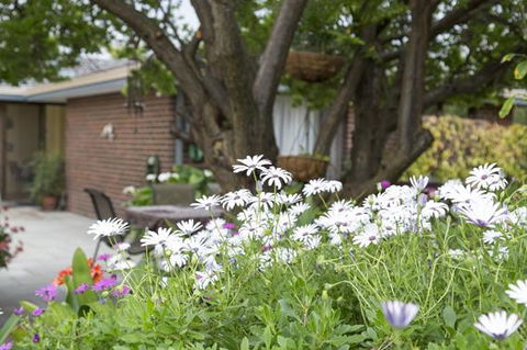 Bed And Breakfast In Perth - South Australia Travel 1