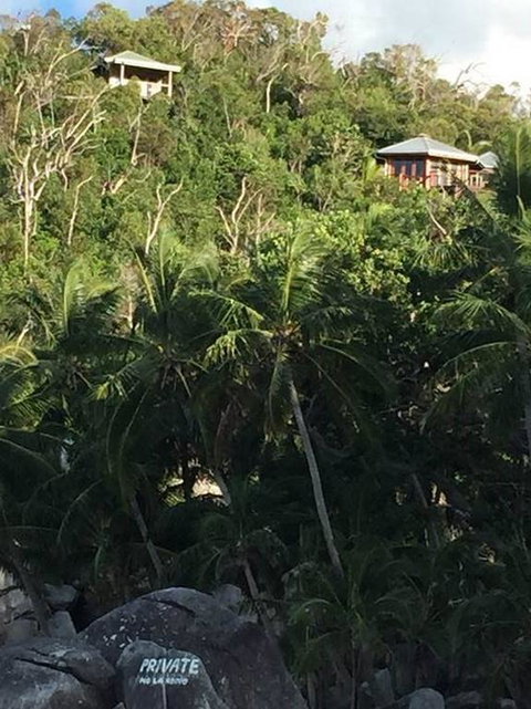 Bedarra Island Treetop Hideaway - South Australia Travel 3